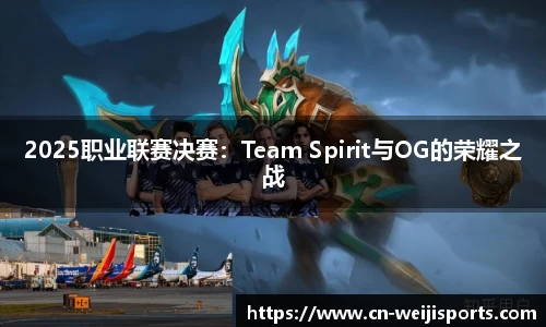 2025职业联赛决赛：Team Spirit与OG的荣耀之战