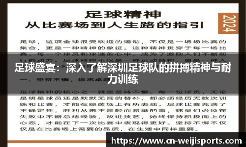 足球盛宴：深入了解深圳足球队的拼搏精神与耐力训练