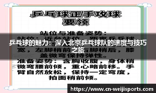 维基体育APP