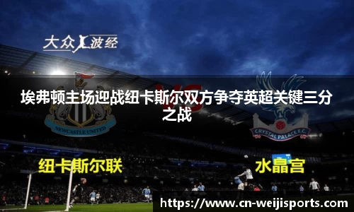 埃弗顿主场迎战纽卡斯尔双方争夺英超关键三分之战